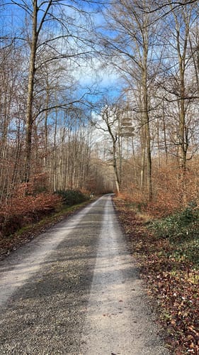 Braunäcker - Betzenberg