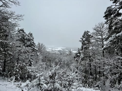 Kreuzweg und  De-Lassaulx Hütte