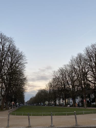 Hofgarten und Botanischer Garten Bonn