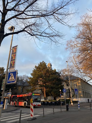 Hofgarten und Botanischer Garten Bonn
