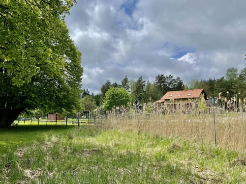 Rundwanderung Werbellinkanal - Rosenbecker See