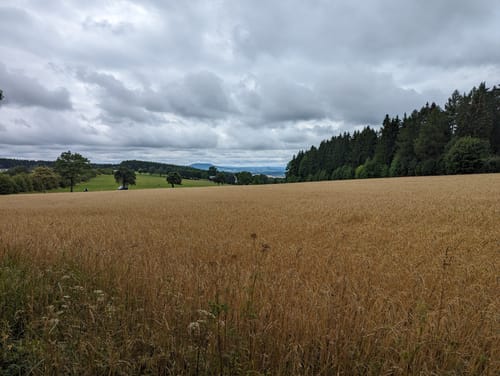 Rund um Marienberg