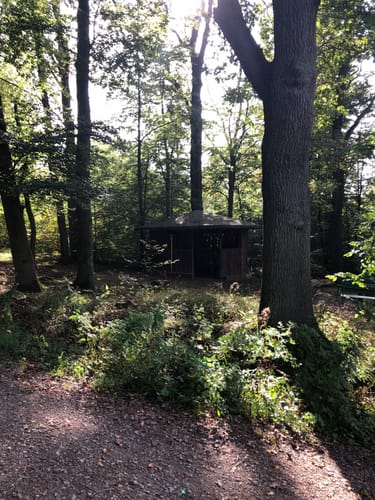 Rundweg Teufelsbrücke - Rodenberger Höhe
