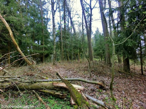 Mistelbach Rundwanderweg: Durch den Bauersgraben