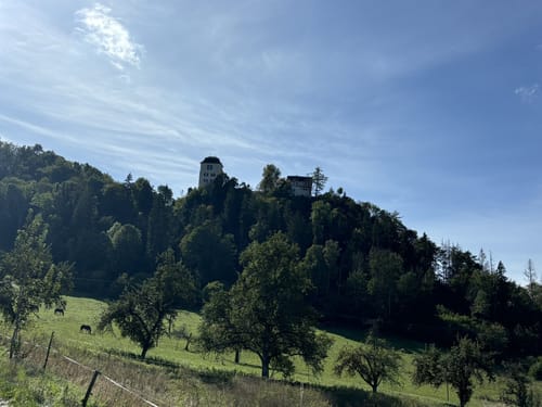 Rundweg Beuron 1