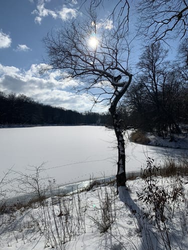 Dessau-Roßlau Kühnauer See Runde