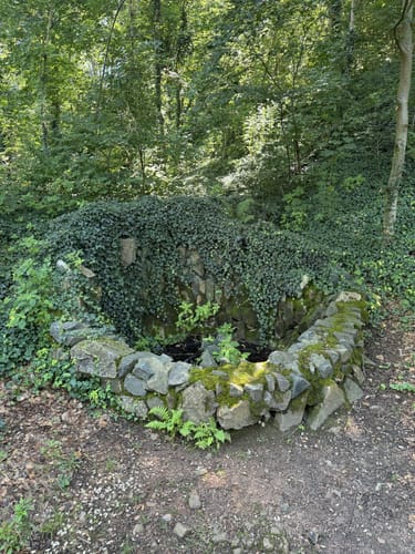 Grimma Schiffsmühle 