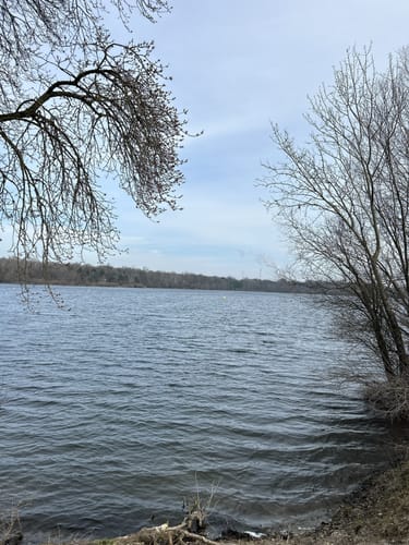 Um den Fermasee