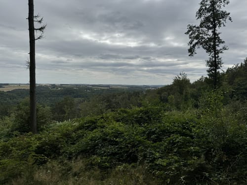 Rochlitzer Berg
