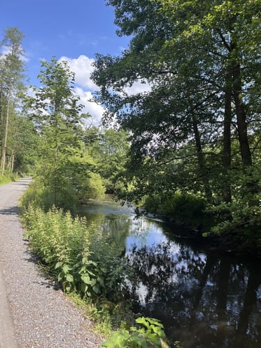 Schwarzenbach an der Saale nach Gut Holzfeld