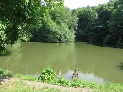 Von Karlsruhe über Hockenheim nach Stuttgart
