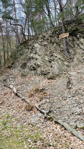 Dünnbach-Pfad (Traumschleife)