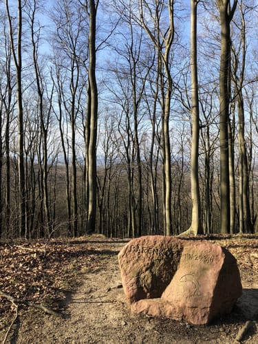 Kalletal: Kleine Bärenkopf Runde