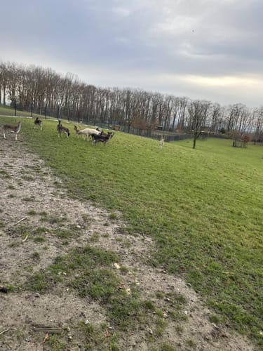 Beckum - Vellern - Roland