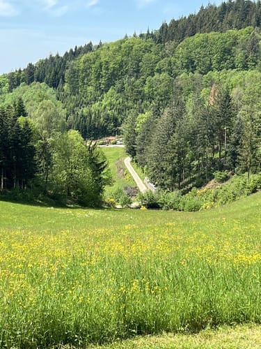 Lautenbacher Hexensteig