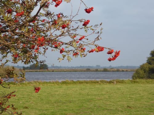 Worpswede ins Teufelsmoor