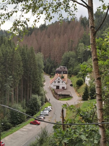 Goldener-Falk-Weg KU12