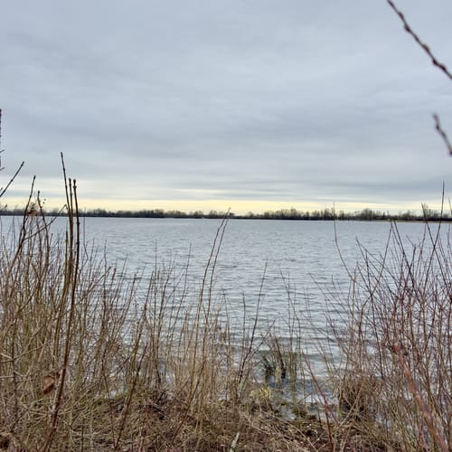 Haldern: Ums Reeser Meer (A9)