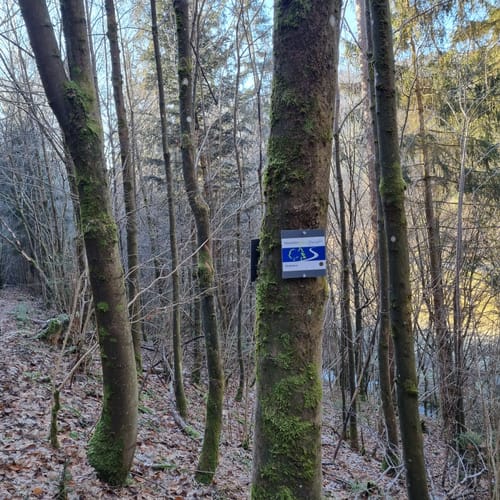 Leitschgrund-Weg RT 22