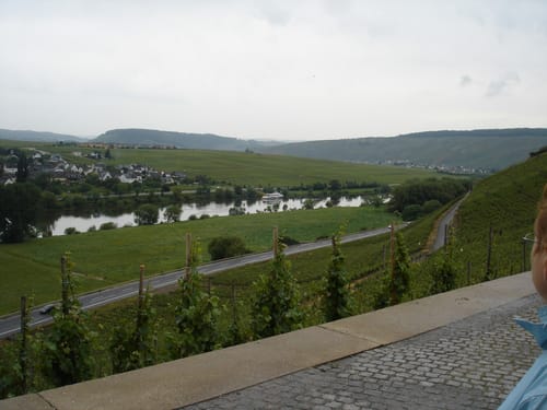 Von Trier nach Trittenheim