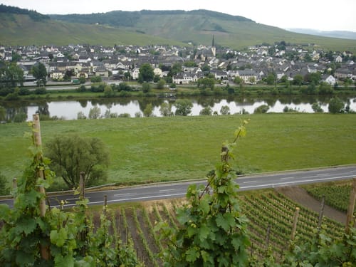 Von Trier nach Trittenheim