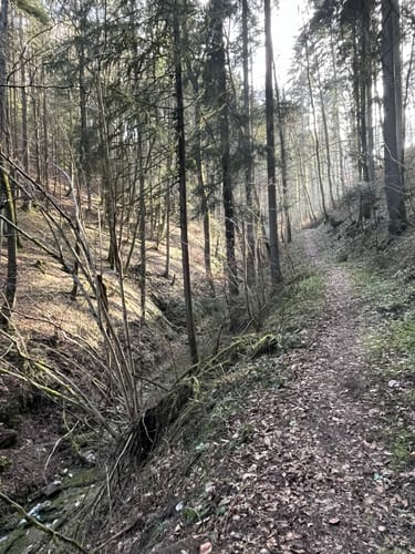 ParadiesTour Boller Felsen