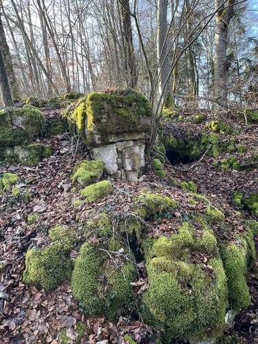 ParadiesTour Boller Felsen