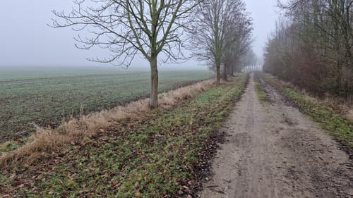 Um den Raßnitzer See