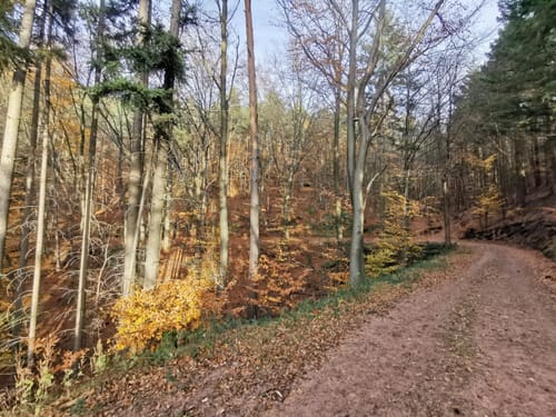 Weilach - Nördlich Hardenburgs