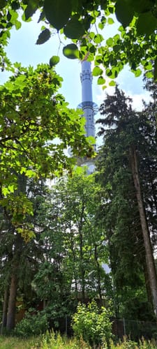 MTB: Brandenkopf Single-Trail