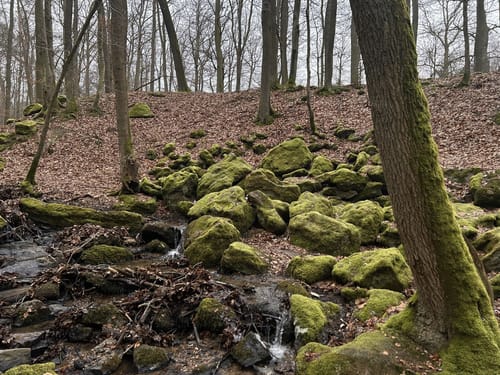 Morgenbachtal Rundweg ab Burg Rheinstein
