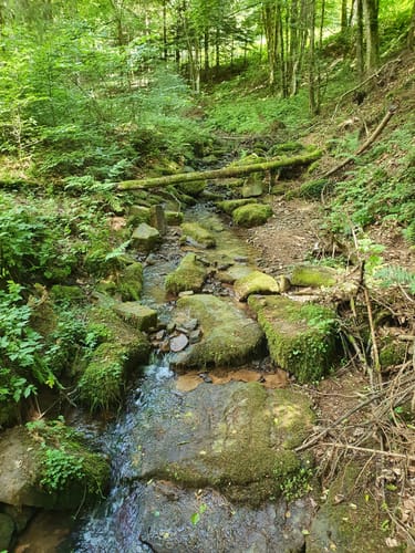 Trettstein Wasserfall