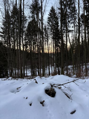 Vesser - Adlersberg