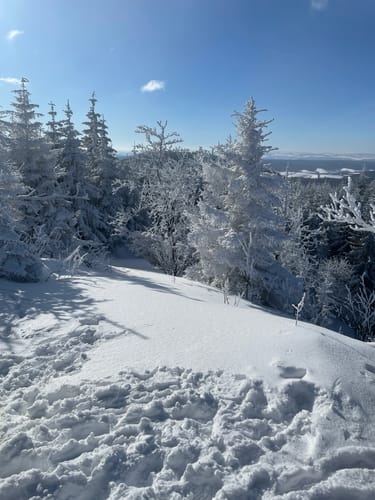 Vorderer und Hinterer Möstfelsen