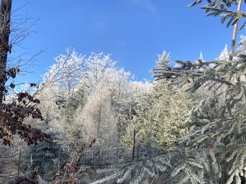 Höhenrundweg um Lohr am Main