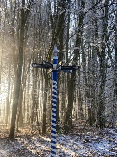 Höhenrundweg um Lohr am Main