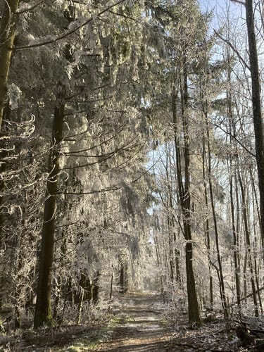 Höhenrundweg um Lohr am Main