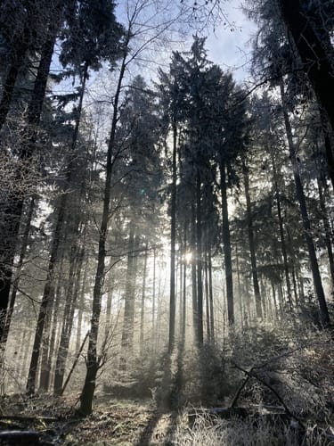 Höhenrundweg um Lohr am Main