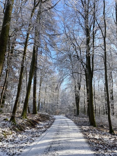 Höhenrundweg um Lohr am Main