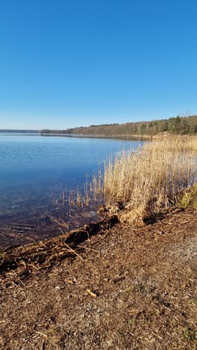 Um den Dreiweiberner See