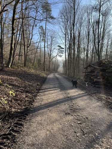 Kleine Runde bei Horb am Neckar