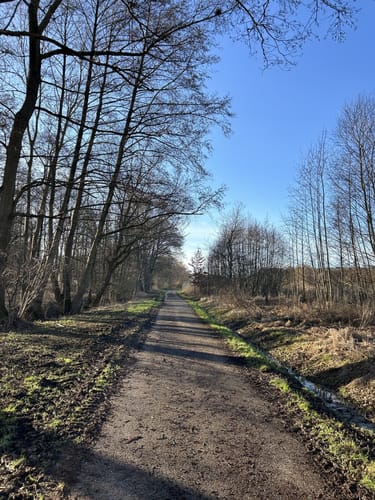 ZA2 Seenweg - Wanderdreiklang Zaberfeld