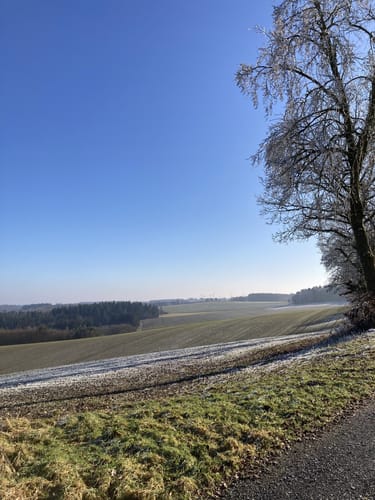 HeimatSpur Wacholder-Endert Pfad (Rundtour: Alflen)