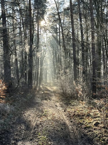 An der Schnellen Havel