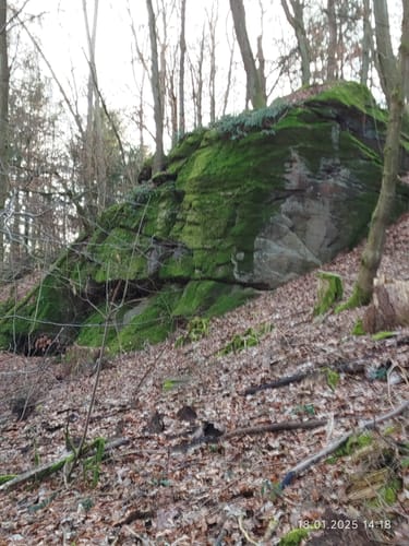 Böllstein - Burg Schnellerts