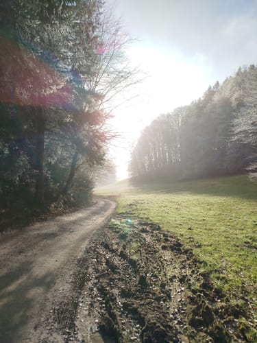 Rundwanderweg Würzberg 3