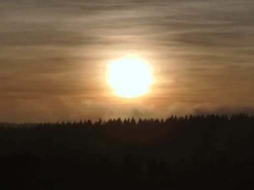 Rundwanderweg Würzberg 3
