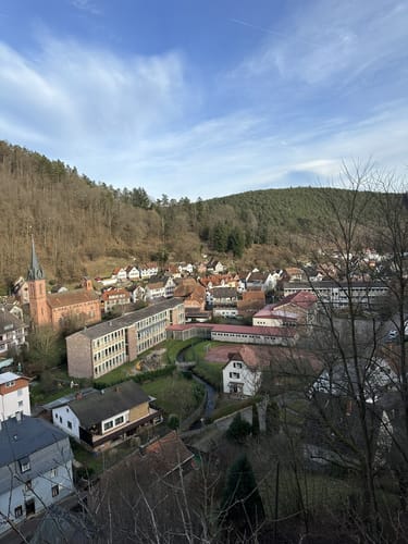 Ehrenfels ab Elmstein