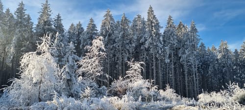 Felder und Wälder bei Buch am Erlbach