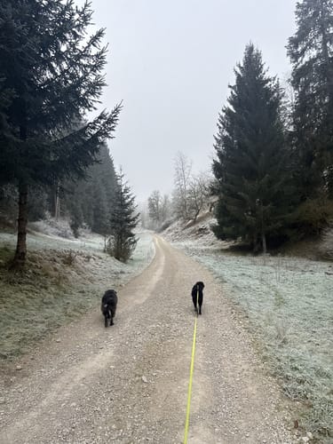 Kaisingerweg (Nr. 5)